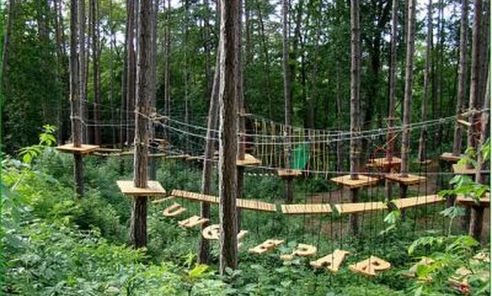 Lanové centrum Jungle park Brno - adrenalin v korunách stromů