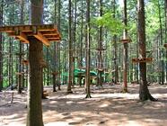 Lanové centrum Tarzanie Trojanovice - největší lanové centrum v ČR