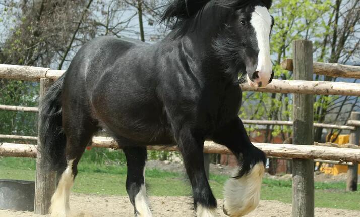 Zoopark Vyškov – setkání s domácími zvířaty celého světa