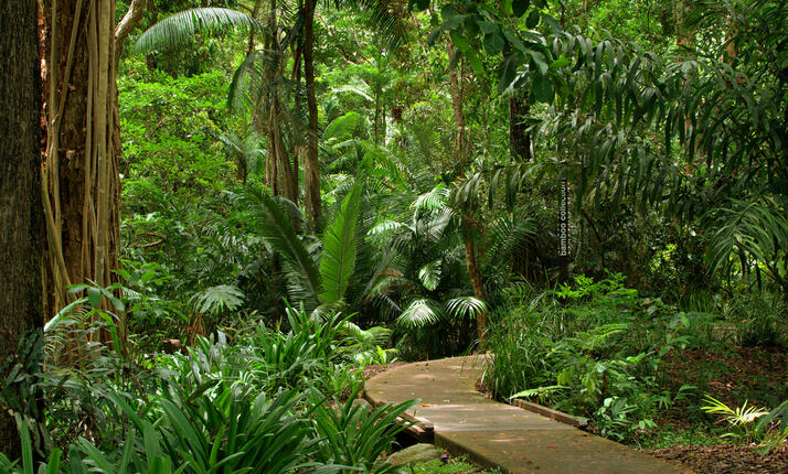 Botanická zahrada Liberec– Nejstarší botanická zahrada v ČR