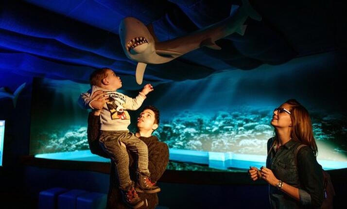 Akvárium Frymburk - unikátní expozice Svět pod hladinou