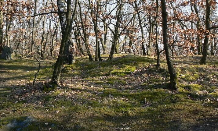 Venkovní úniková hra - Fantastický objev v Ďáblickém háji