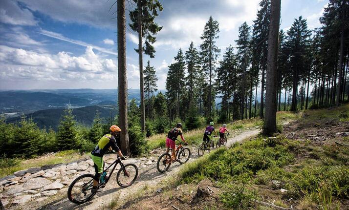 Trail Park Loučná pod Klínovcem - letní zážitky na kole