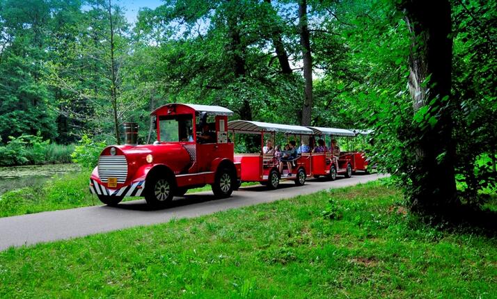 Vyhlídková jízda mašinkou Poděbrady - obdivování krásy přírody