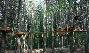 Zelená trasa - střední obtížnost - od 140 cm