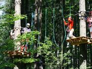 Zelená trasa - střední obtížnost - od 140 cm