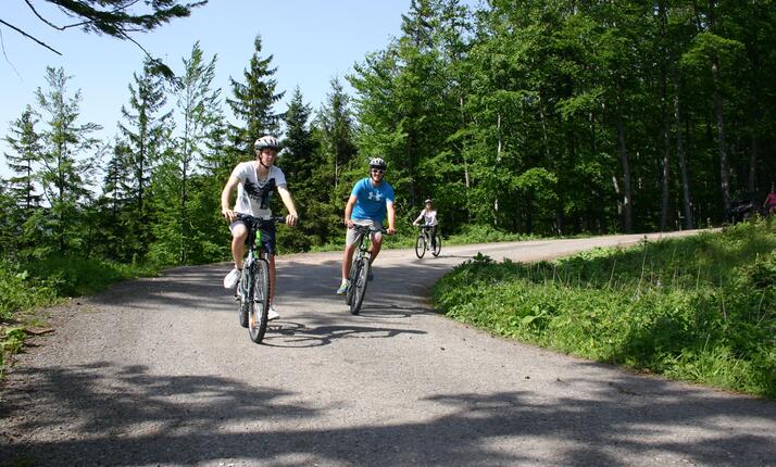 Půjčovna kol a koloběžek ve Ski areálu Opálená Pstruží