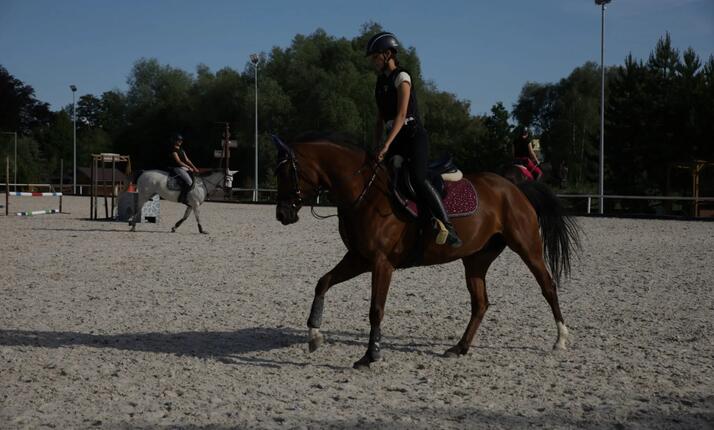 Jezdecká základka - pro děti od 20 kg do 18 let