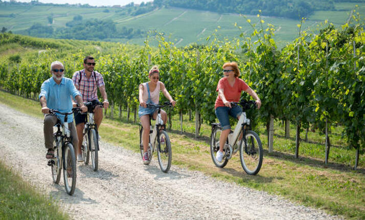 Půjčovna elektrokol Prušánky - zažijte jižní Moravu jinak