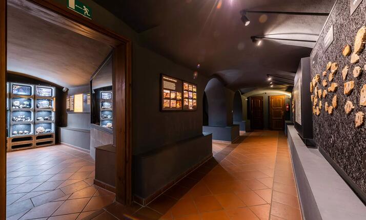 Městské muzeum Horažďovice - stálé expozice mineralogie
