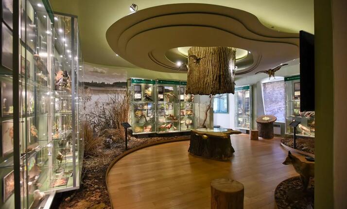 Muzeum Dr. Bohuslava Horáka Plzeň - založeno v roce 1905