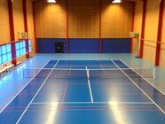 Badminton ve Sportcentru Litomyšl - 4 badmintonové kurty v hale
