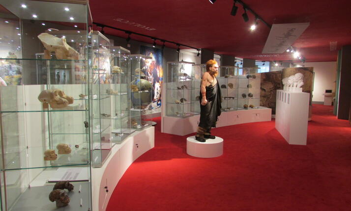 Muzeum Dr. Aleše Hrdličky Humpolec - setkání s neandrtálcem