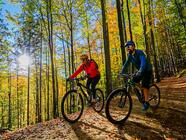 Lectron Esconder MGX 20¨ - vhodné pro výšku 175 cm - 195 cm