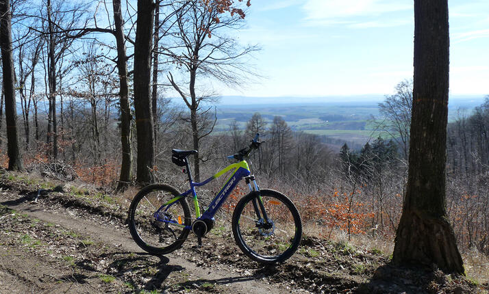 Lectron Esconder MGX 20¨ - vhodné pro výšku 175 cm - 195 cm