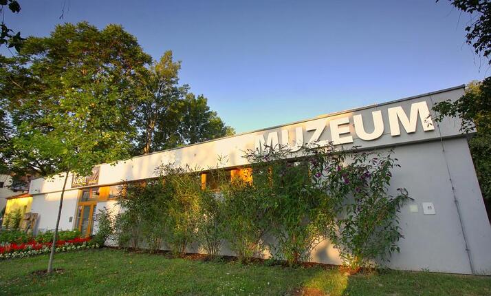 Městské muzeum a galerie Břeclav - 30 tis. sbírkových předmětů