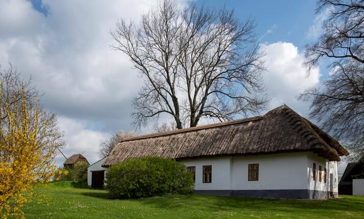 Muzeum v přírodě Rymnice - poznejte život našich předků na Hané