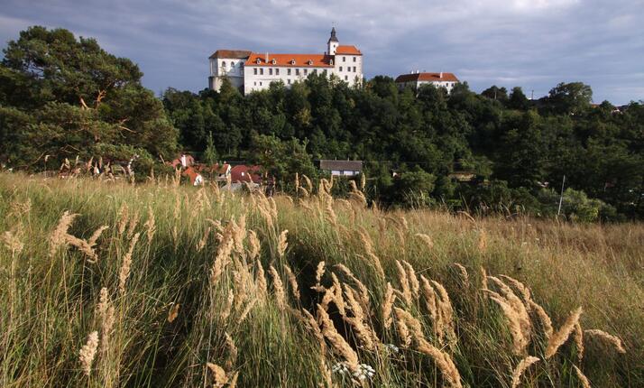 Předzámčí a Starý zámek v Jevišovicích - poznej jeho tajemství