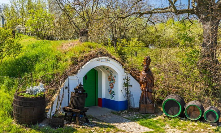 Řízená degustace Vinařství Žerotín