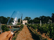 Degustace vína ve sklípku v památkové rezervaci Petrov – Plže