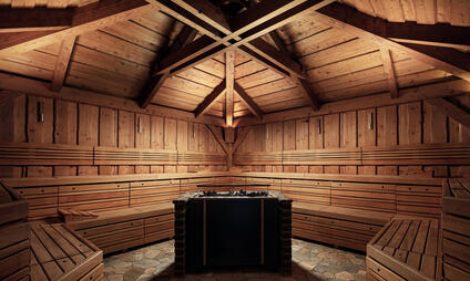 Cedrus Spa Dříteč - saunový svět nedaleko Kunětické Hory