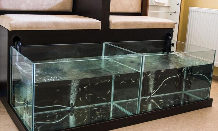 Wellness Energetic - to pravé v Rožnově pod Radhoštěm