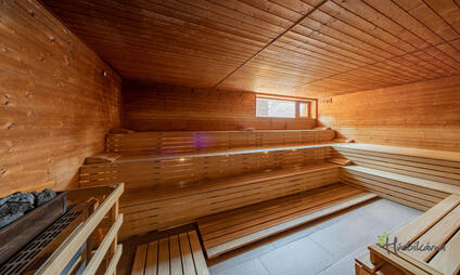 Sauna v Rekreačním centru Hřebíkárna Chomutov - pro 30 osob