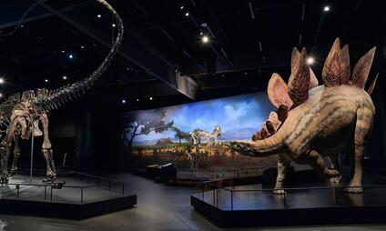 Dinosauria Museum Praha - zažijte nevídanou podívanou