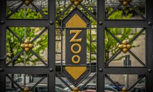 Ředitel ZOO - pro děti od 4 let