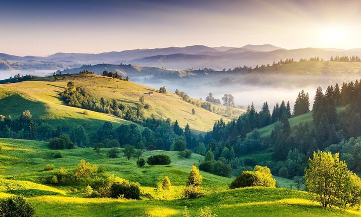 Žítkovské pohlazení - rašelinový zábal, masáž, relax na lůžku s čajem