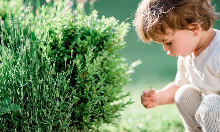 Exkurze v Bylinkové ráji Čejkovice - království plné vůní