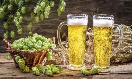 Prohlídky pivovaru Bohemia Regant Třeboň - 600 let tradice