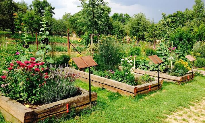 Exkurze po bylinkové zahradě Kouzelné bylinky Český Krumlov