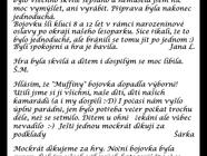 Noční bojovka "Případ ztracených muffinů"