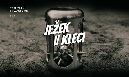Úniková hra - Ježek v kleci + DÁREK HLAVOLAM JEŽEK V KLECI