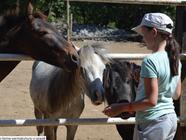 Farmapark Calamity Jane - jízda na koni a venkovní aktivity