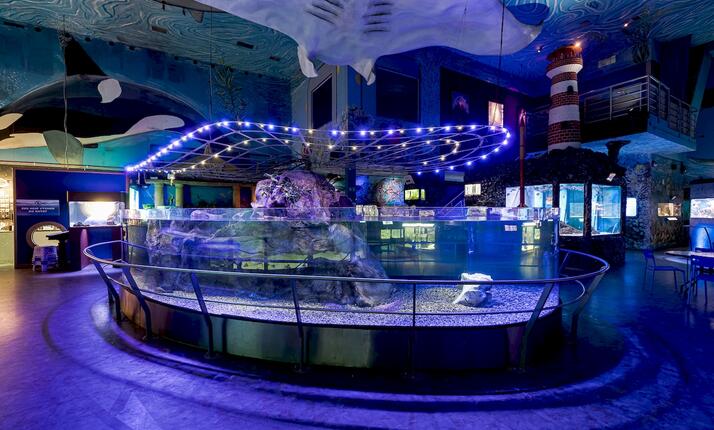 ZOO Mořský svět Praha - největší mořské akvárium v ČR - s omezením a slevou 35 %