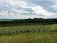 Venkovní úniková hra - Znojmo