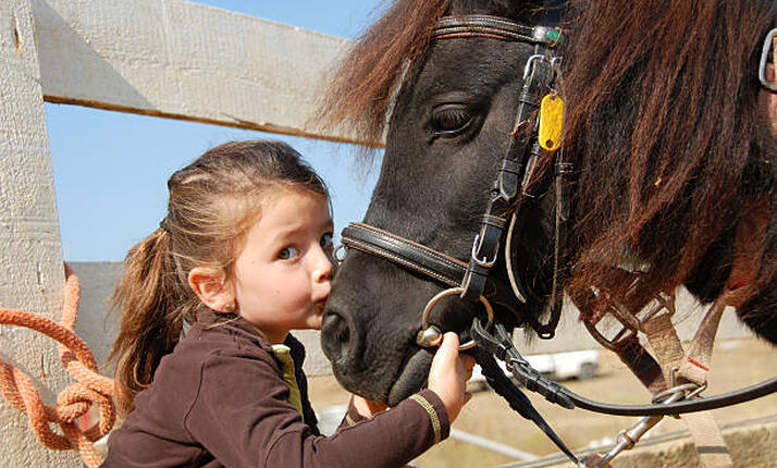 Jízda na pony pro děti na Ranči FALADA Česká Lípa