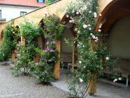 Venkovní hra pro děti Kadaň - Za rohem číhá drak - pro děti 5 - 10 let