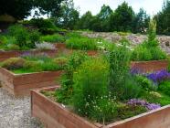 Venkovní hra pro děti Kadaň - Za rohem číhá drak - pro děti 5 - 10 let