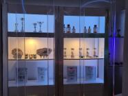 Úniková hra - Jurský projekt