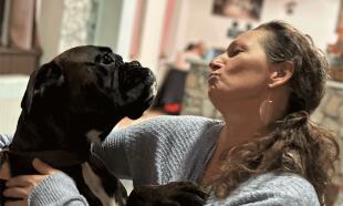 CT - Canine Touch - terapie vhodná pro psy