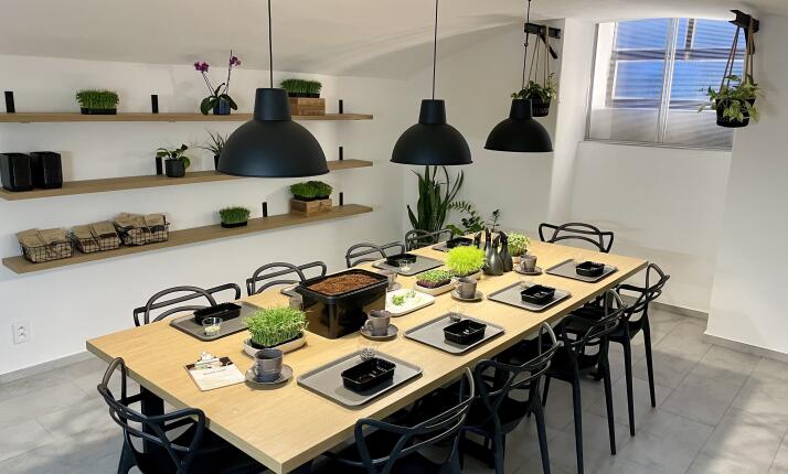 Workshop pěstování mikrobylinek - od výběru správných semínek až po sklizeň