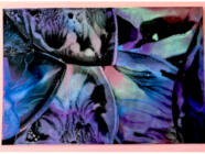 Soukromý kurz enkaustiky - malování horkým voskem