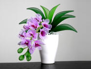 Soukromý kurz výroby květin z nylonu - Orchidej