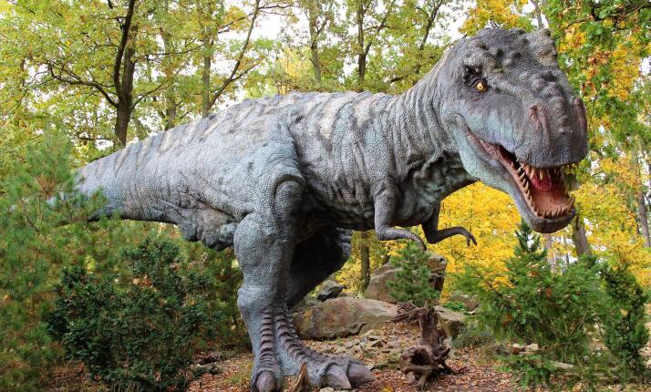 DinoPark ZOO Plzeň – s vyhlídkou u Brachiosaura