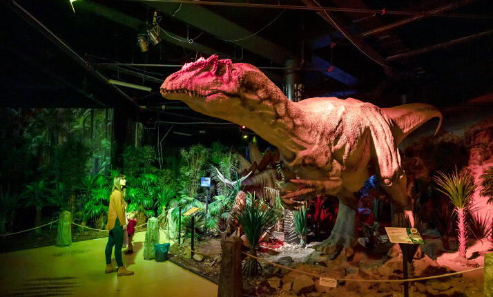 DinoPark Plaza Liberec – krytý celoročně otevřený DinoPark