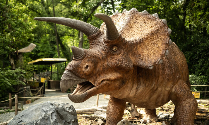 DinoPark ZOO Vyškov – rodinná DinoZábava v malebném lesoparku