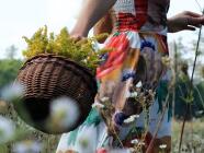 Procházka za bylinkami s ochutnávkou nebo výrobou bylinného oleje v Praze (Chuchelský háj)